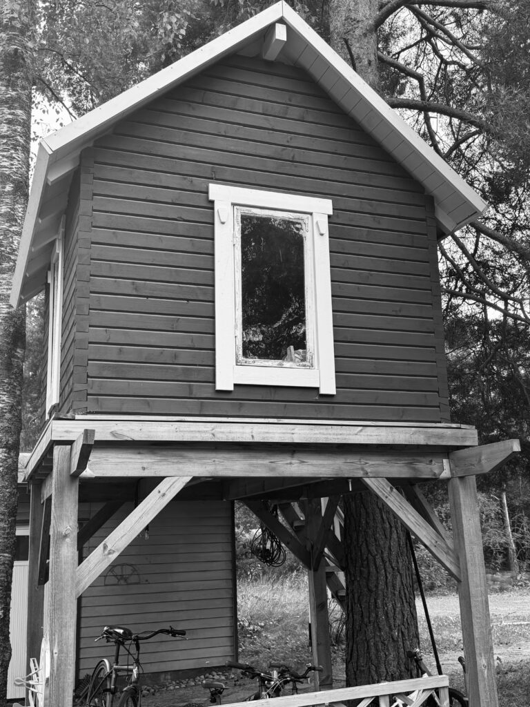 Mustavalkoinen kuva puumajasta.